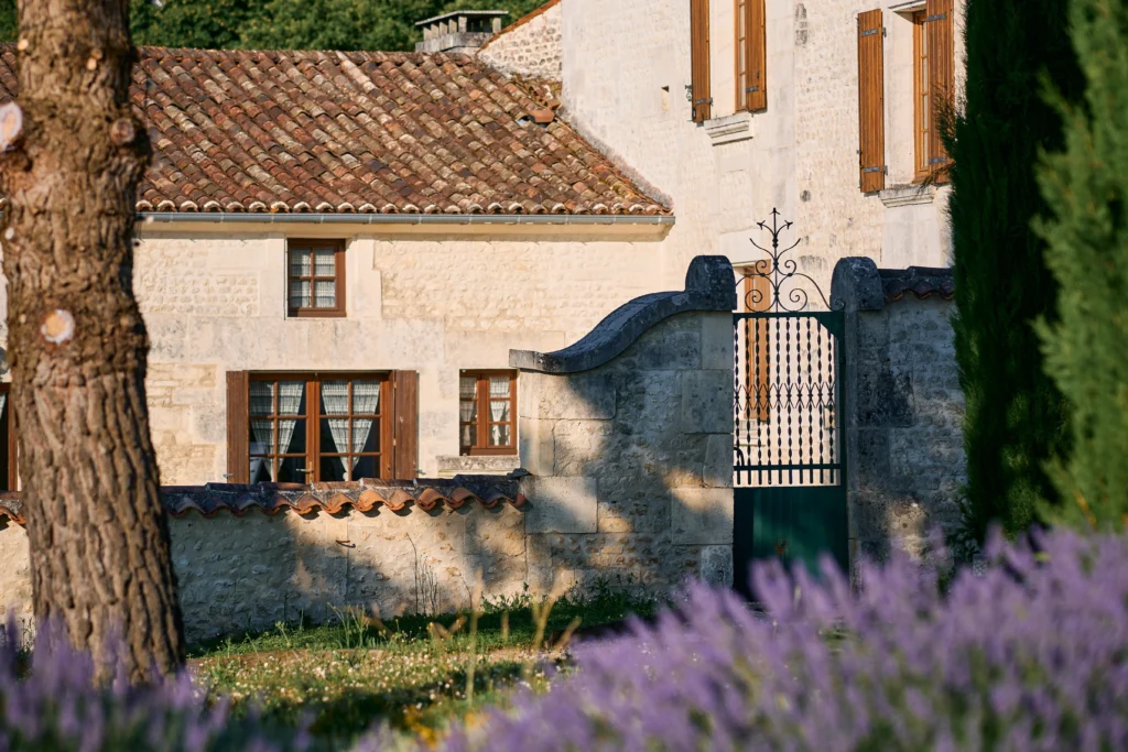 5-DSC08619 - Theo Schuman 2